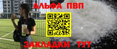 шишки Тара